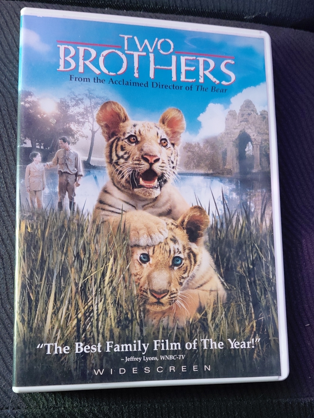 Two Brothers DVD - Widescreen Family Film - Blue Cover